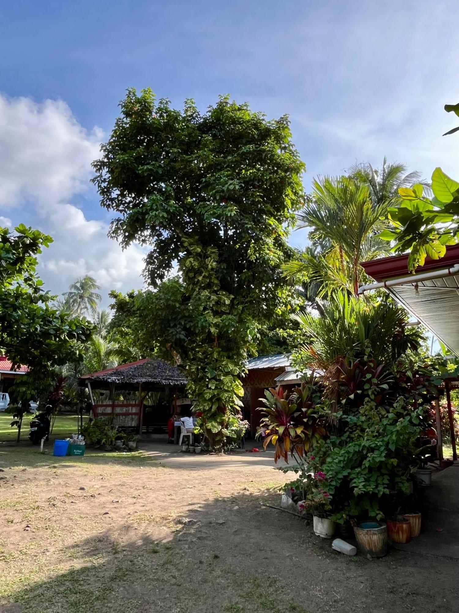 Paco'S Garden Home Stay Мамбахао Екстер'єр фото
